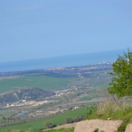 DSC_4686