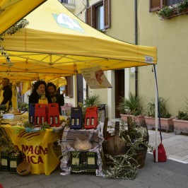 campagna_amica_termoli_2